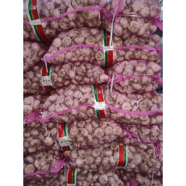 

Harga Miring Bawang Putih Honan 1Kg