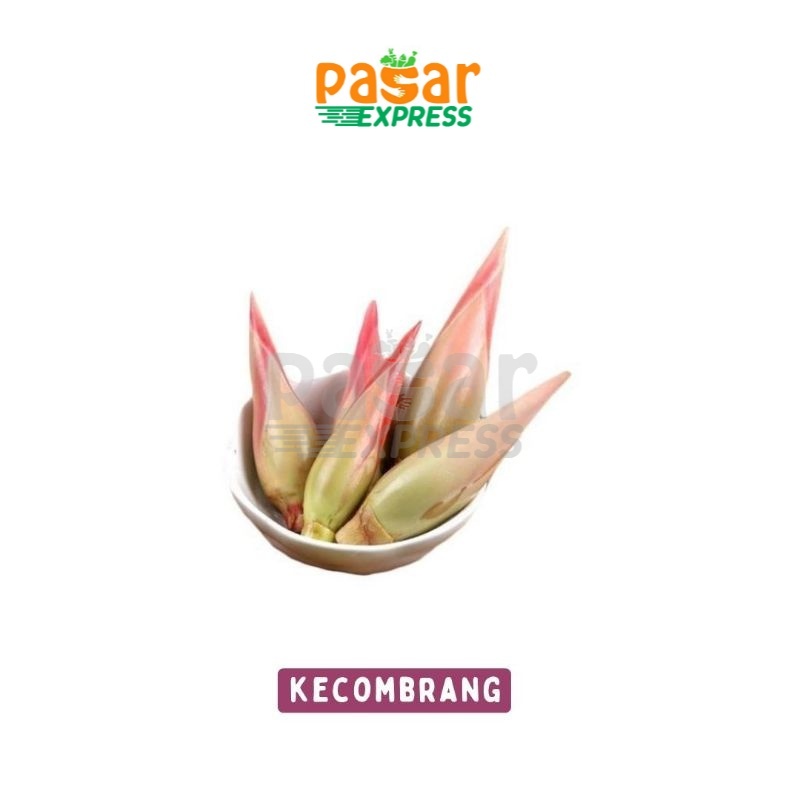 

[Pasar Express] Tunas Kecombrang Per Pcs / Produk Musiman