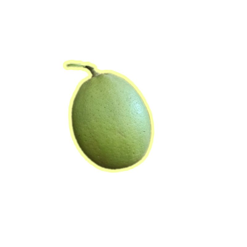 

jeruk lemon 1 kg