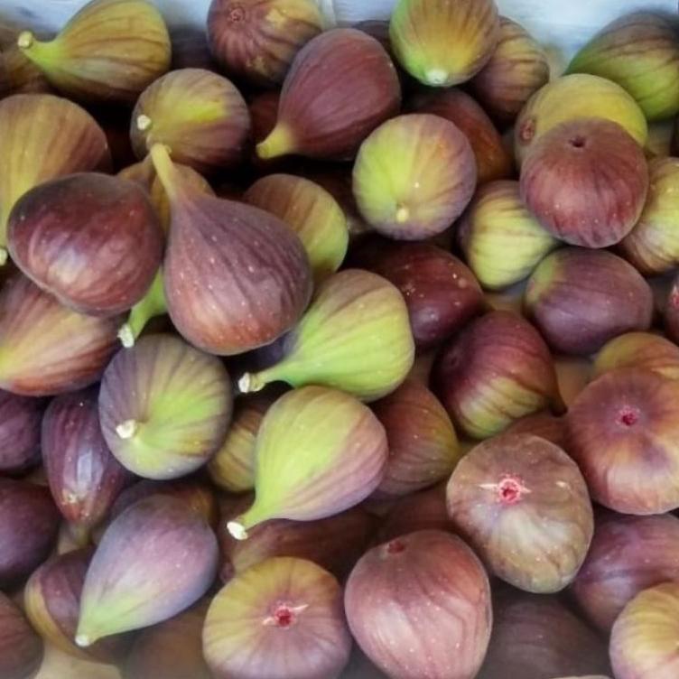 

[KODE PNIZZ] Buah Tin, Ara, Fig Fresh Grade B 200grm.