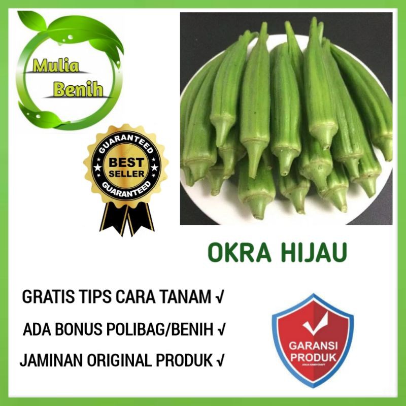 Jual Biji Benih Okra Hijau Greenie Bibit Tanaman Sayur Sayuran Okra Hijau Known You Seeds