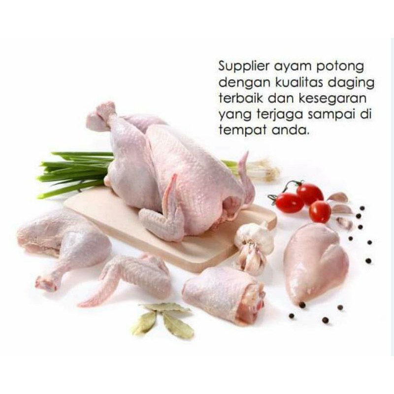 

Ayam Boiler ukuran hidup / Ayam Boiler Fresh / Ayam Negeri Fresh /Ayam Negeri