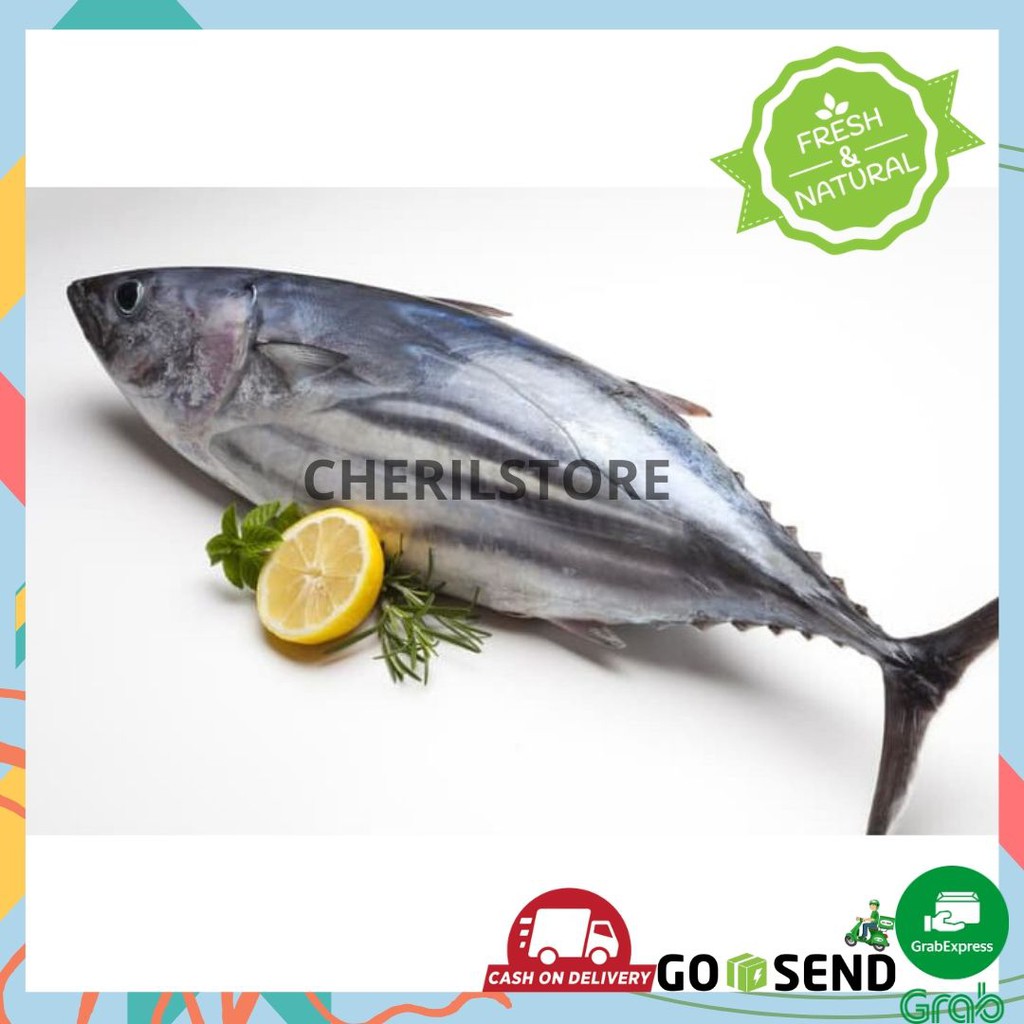 

IKAN TUNA POTONG