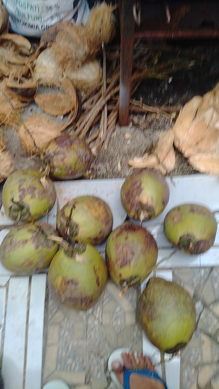 Medellin Kemeja Batik Pria Lengan Panjang Premium 10176 Hitam