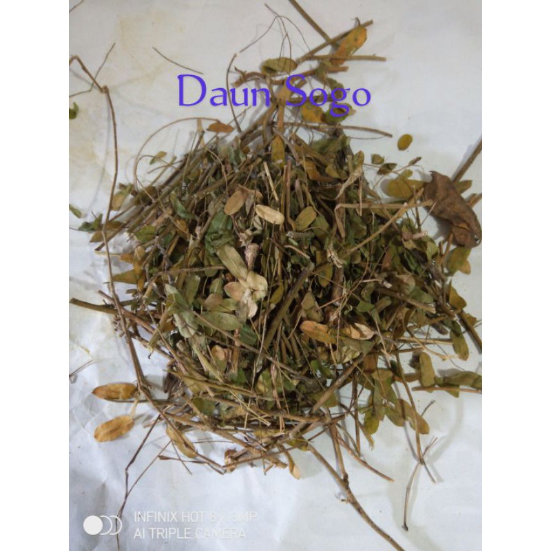 

Daun Saga Kering 1kg