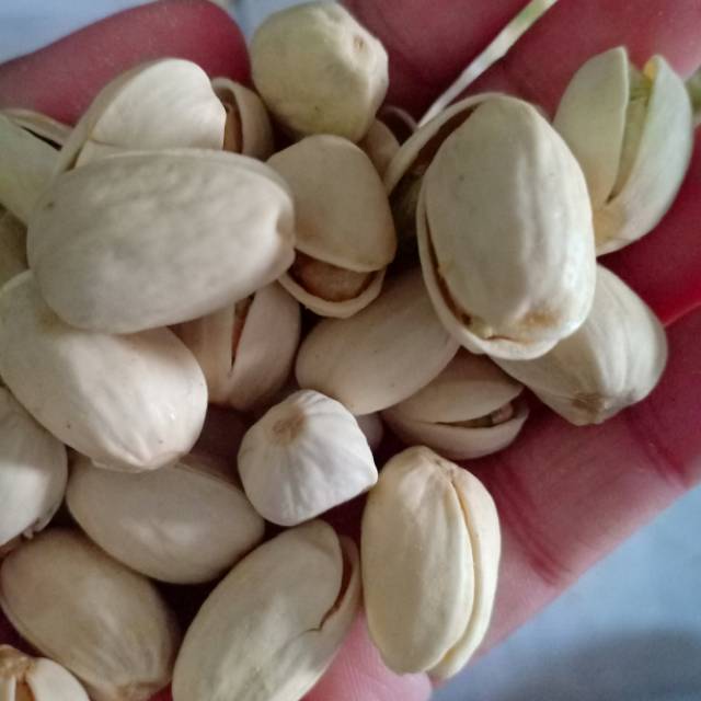 

Kacang pistachio / Fustuk 500gr