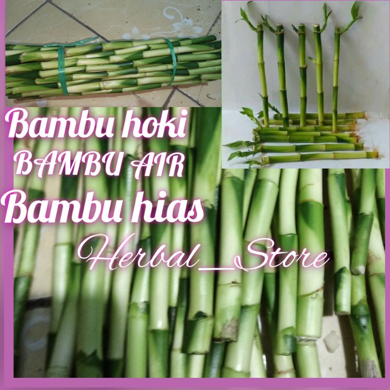 BAMBU HOKI - BAMBU AIR - BAMBU HIAS