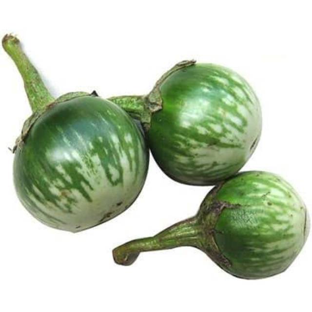 

GREEN APPLE EGGPLANT / TERONG BULAT HIJAU 500Gr/pack
