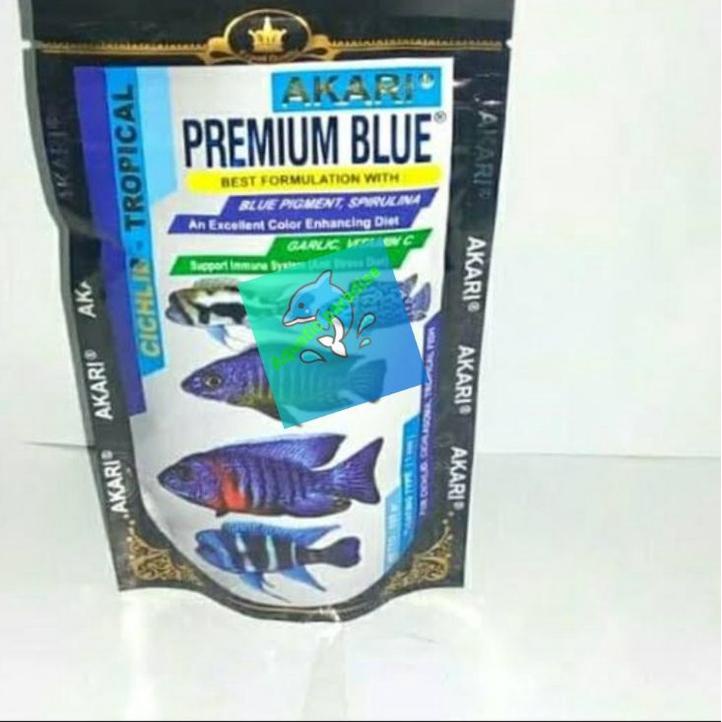 Jual Special Delivery Akari Premium Blue Cichlid Gr Tropical Fish