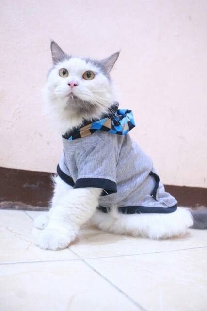 Kaos hoodie variasi kotak-kotak biru lucu untuk kucing dan anjing size S M L XL