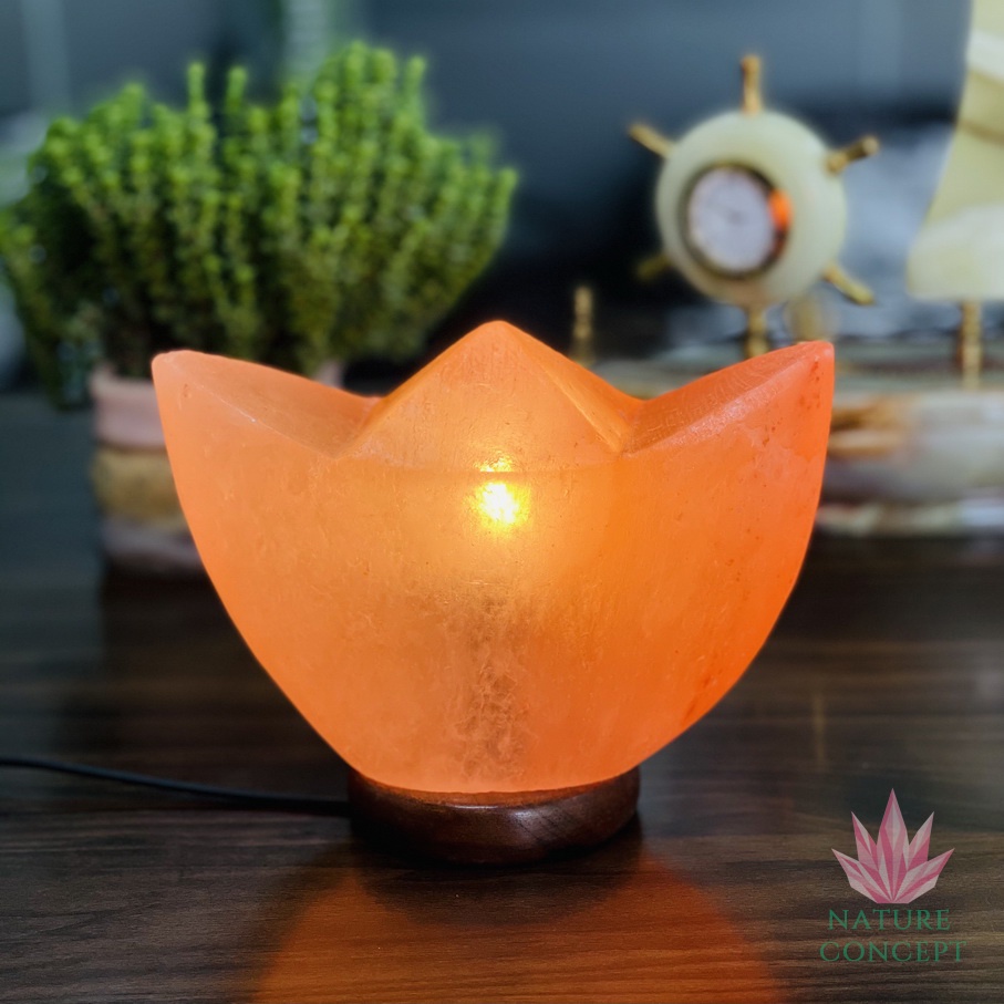 Himalayan Salt Lamp Lampu Kristal Garam Himalaya Unique Shape TERLENGKAP