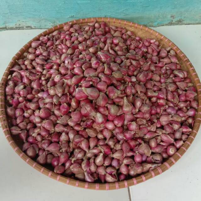 

Bawang merah super brebes 1 KILO KERING!!