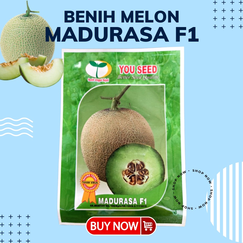 Benih Biji Melon Madurasa F1 Bibit Melon Madu Rasa Hibrida Tahan Virus Kemasan 20g