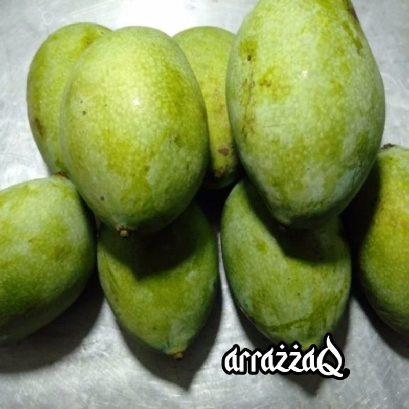 Jual Mangga Arum Mangga Harum Manis Mentah Kg Khas Situbondo Indonesia Shopee Indonesia