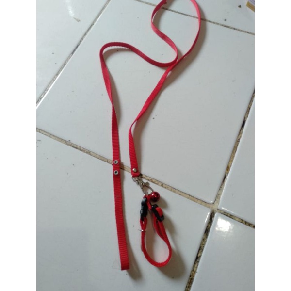 harnes o untuk kucing tali panjang