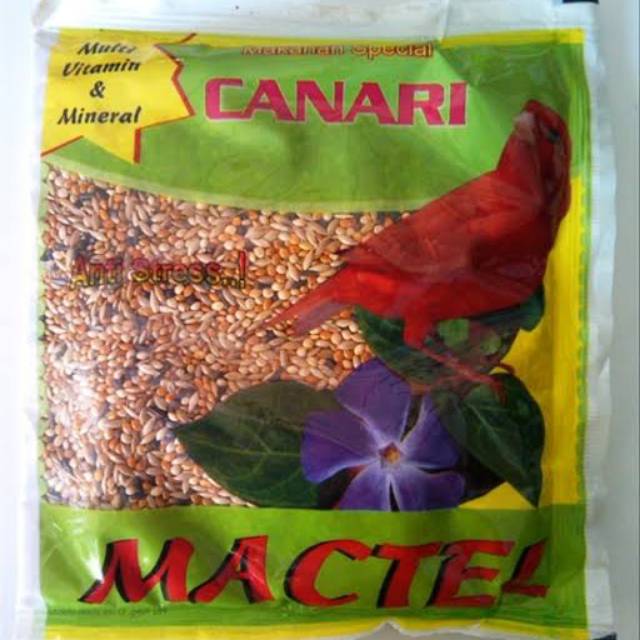 

Mactel canari