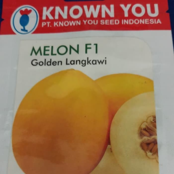 BENIH MELON F1 GOLDEN LANGKAWI KYS