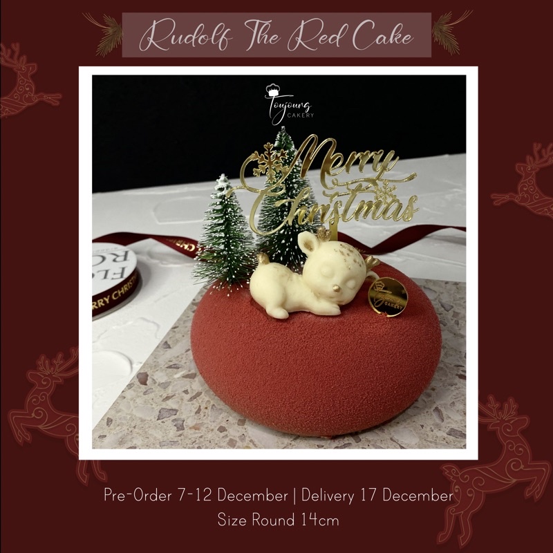

Christmas Cake