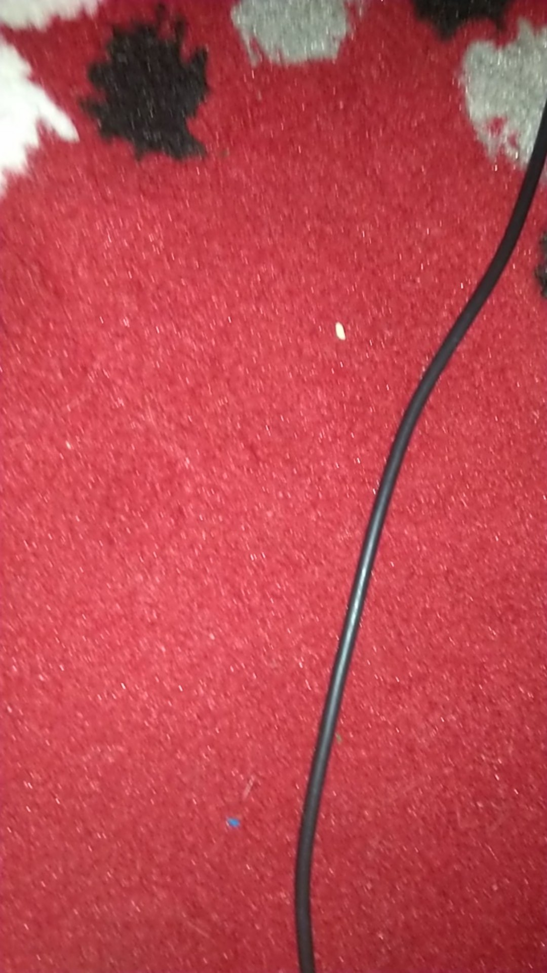 Starlight Spatula Set Alat Masak Silicone Utensile  Kitchen Set Sutil Peralatan Masak Hcu401