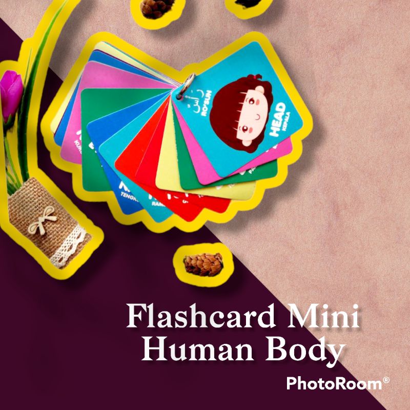 Flashcard Mini Murah /Human body carnivores flag /Mainan kartu Anak balita / Flashcard kartu pintar