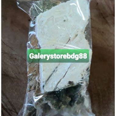 Kulit pohon lame pohon pule atau pulay segar 500 gram