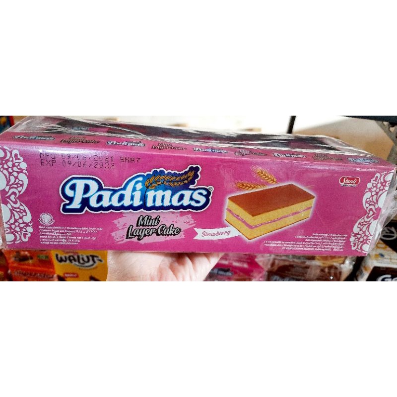 Padimas Mini Layer Cake 10 gr x 24 pcs