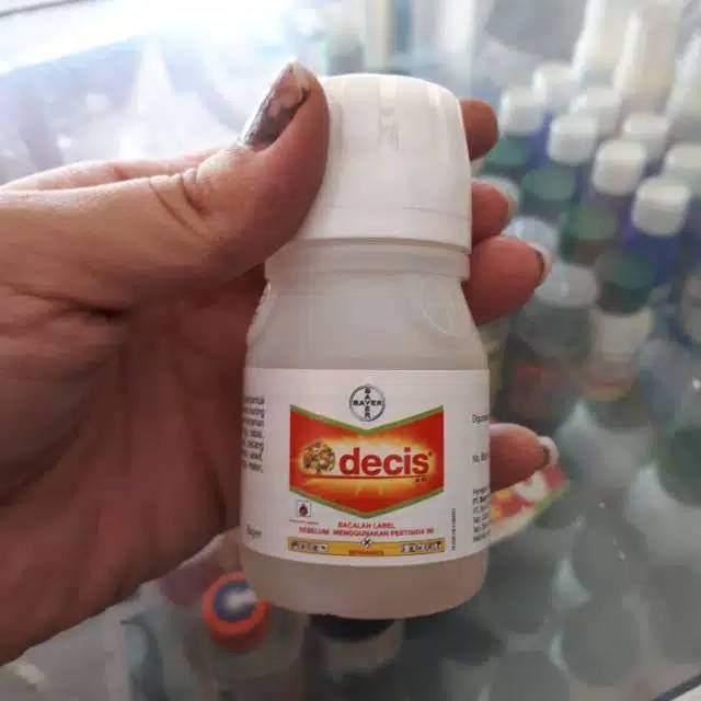 Decis Insektisida pembasmi Kutu Kebul - 50ml / DECIS 25 EC 50 ML PESTISIDA OBAT PEMBASMI HAMA