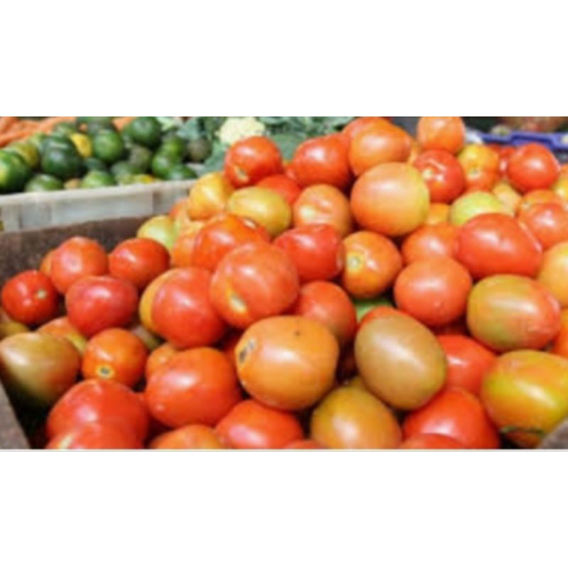 

tomat sayur 250gr