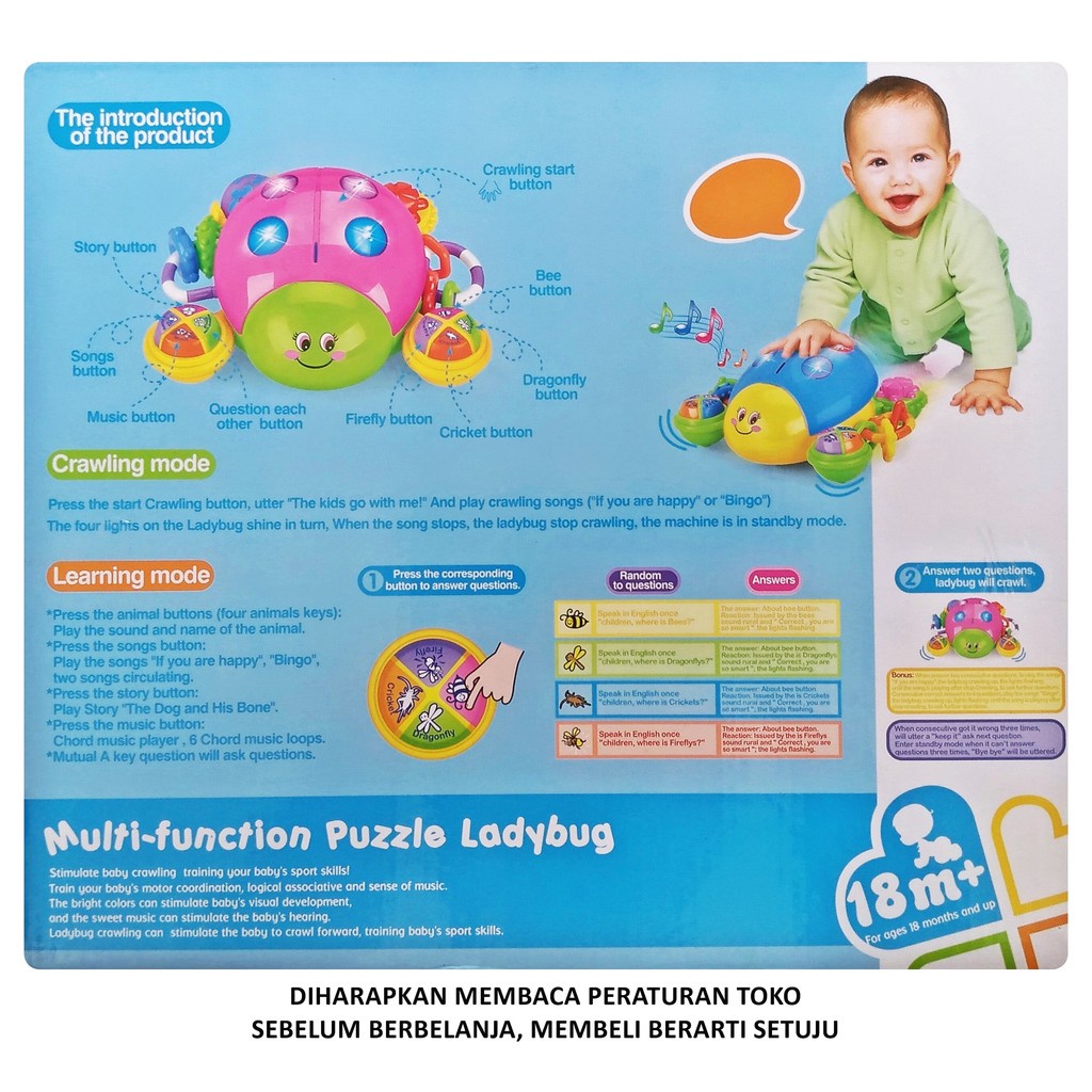 Mainan Edukasi Anak Multi Function Puzzle Lady Bug ada musik lampu