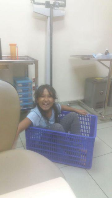 Container 2206 L Green Leaf P60.5xl41.6xt30.8cm Keranjang Industri