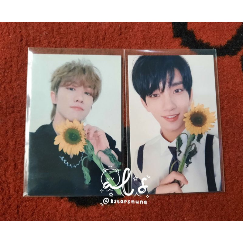 Seventeen Photocard GB Gongbang Broadcast Home Sunflower Joshua The8