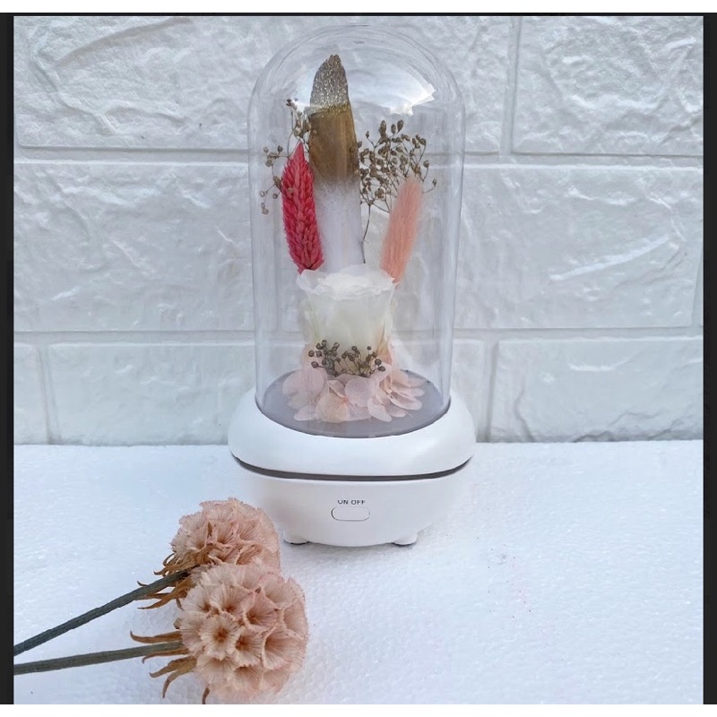 Diffuiser aromaterapi/ aroma terapi diffuiser dried flowers