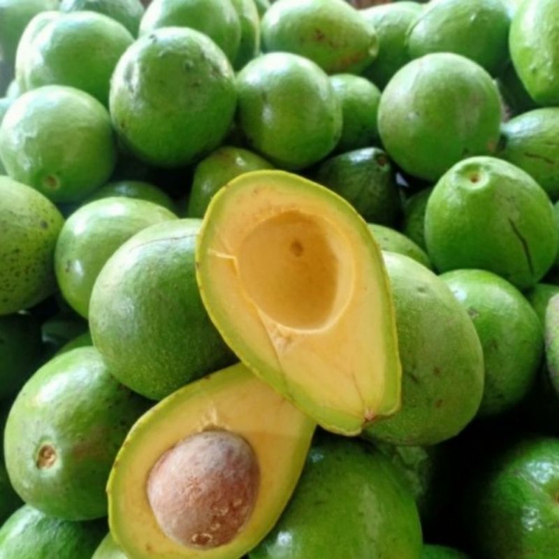 

ALPUKAT MENTEGA 1KG ISI 3-4 BUAH/BUAH ALPUKAT MENTEGA FRESH