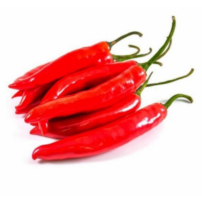 

cabe merah besar
