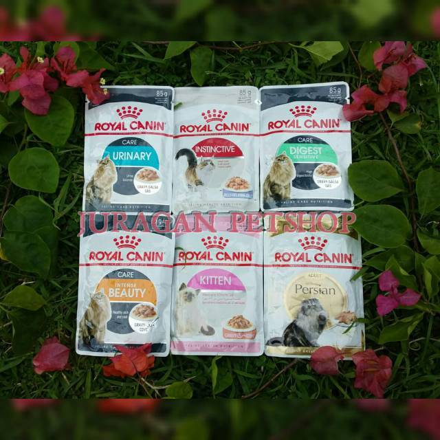 Royal Canin Sachet 85gr|Royal Canin Digestive|Kitten Persian|Urinary Kucing|Royal Canin Intense 85gr