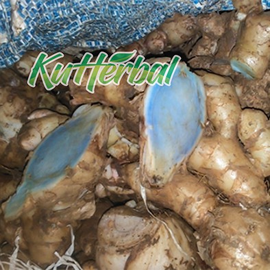 

TEMU HITAM temu Ireng atau kunyit hitam 100gram