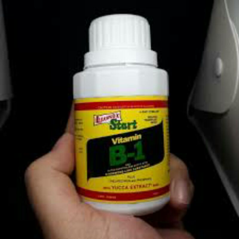 vitamin B1 liquinox