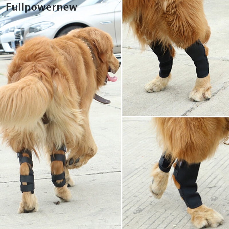 [FULL] 1 Pair Dog Leg Brace Hock Joint Knee Support Rear Therapeutic Pet Wrap