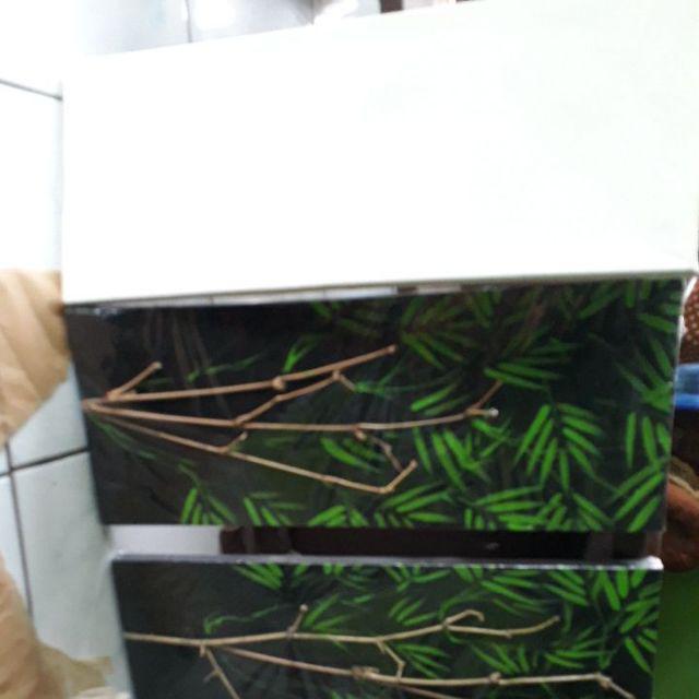 Lukisan 3d Pohon Bambu Minimalis
