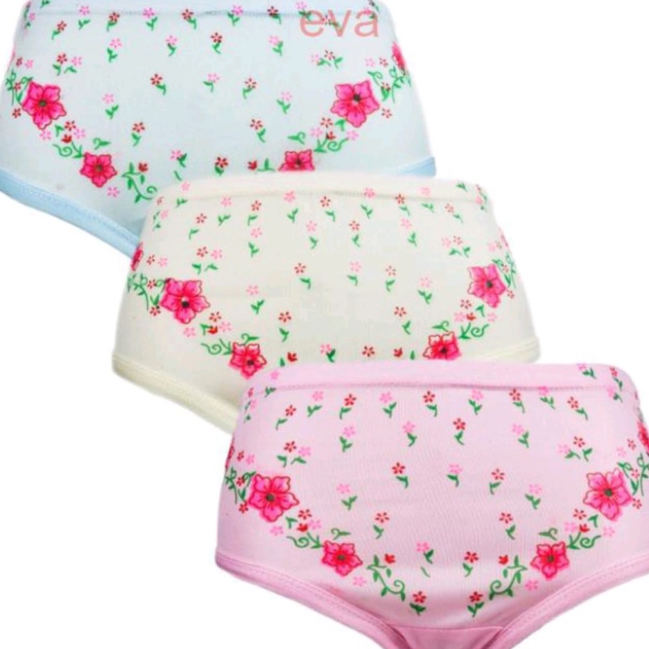 1 lusin 12 CD Mens Haid Menstruasi Celana Dalam Wanita Big Size Jumbo