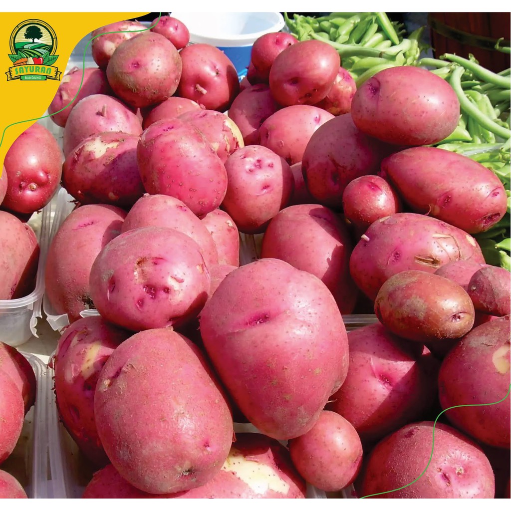 

promo KENTANG MERAH / 500 GRAM