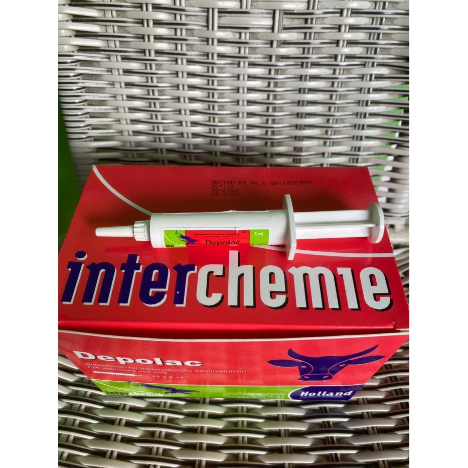 Depolac 1 BOX (ISI 24)- (obat mastitis masa kering)
