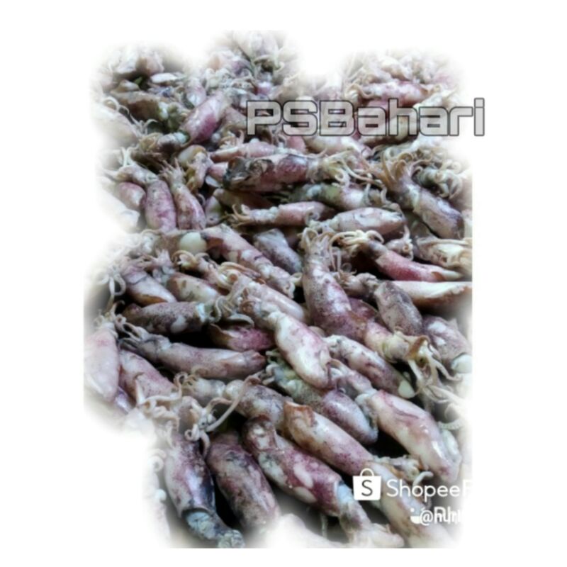 

Cumi Asin ukuran Jumbo Besar 100 gram