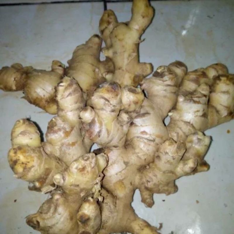 

jahe putih 1kg