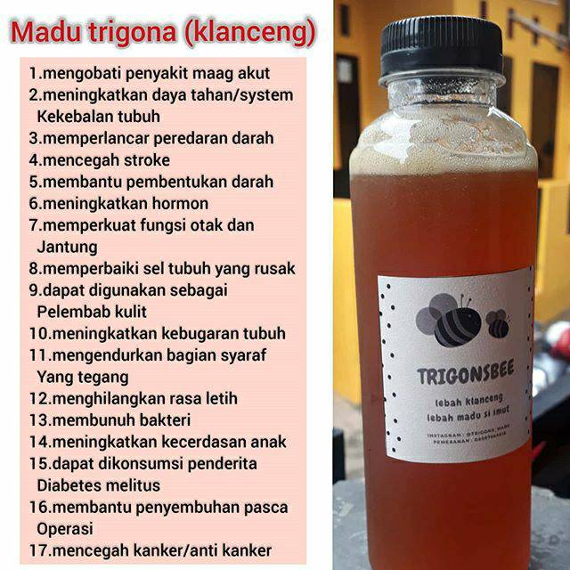 

Madu asli 100% trigona sp 250 ml (madu kelud ,madu klanceng)