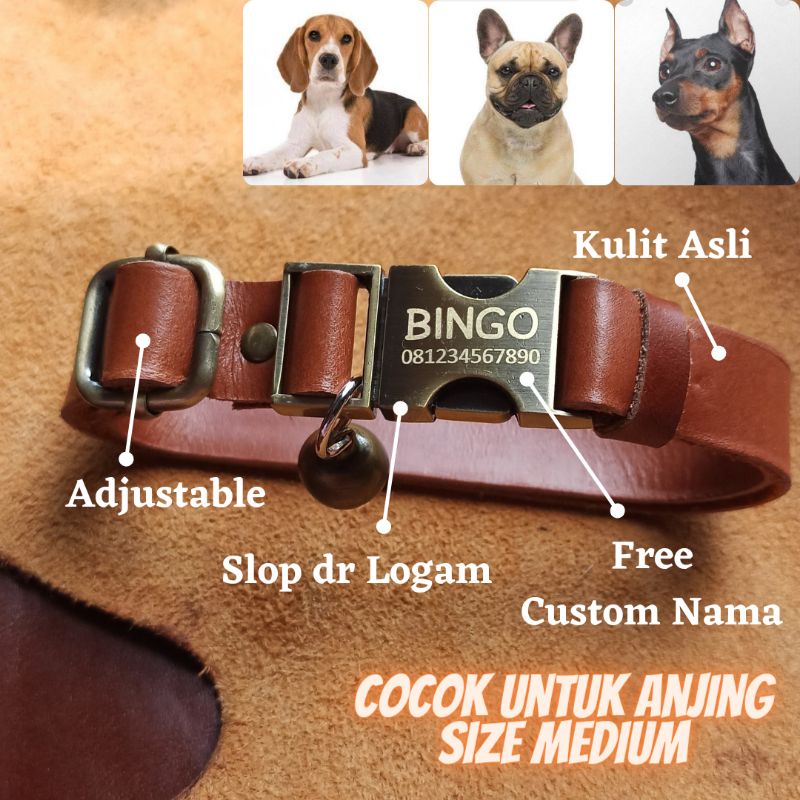 KALUNG ANJING CUSTOM NAMA KULIT ASLI by iPet