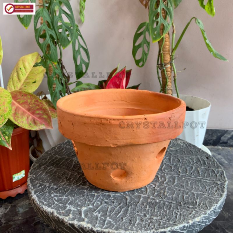 pot bunga tanaman anggrek tanah liat terracotta - POT ANGGREK TANAH