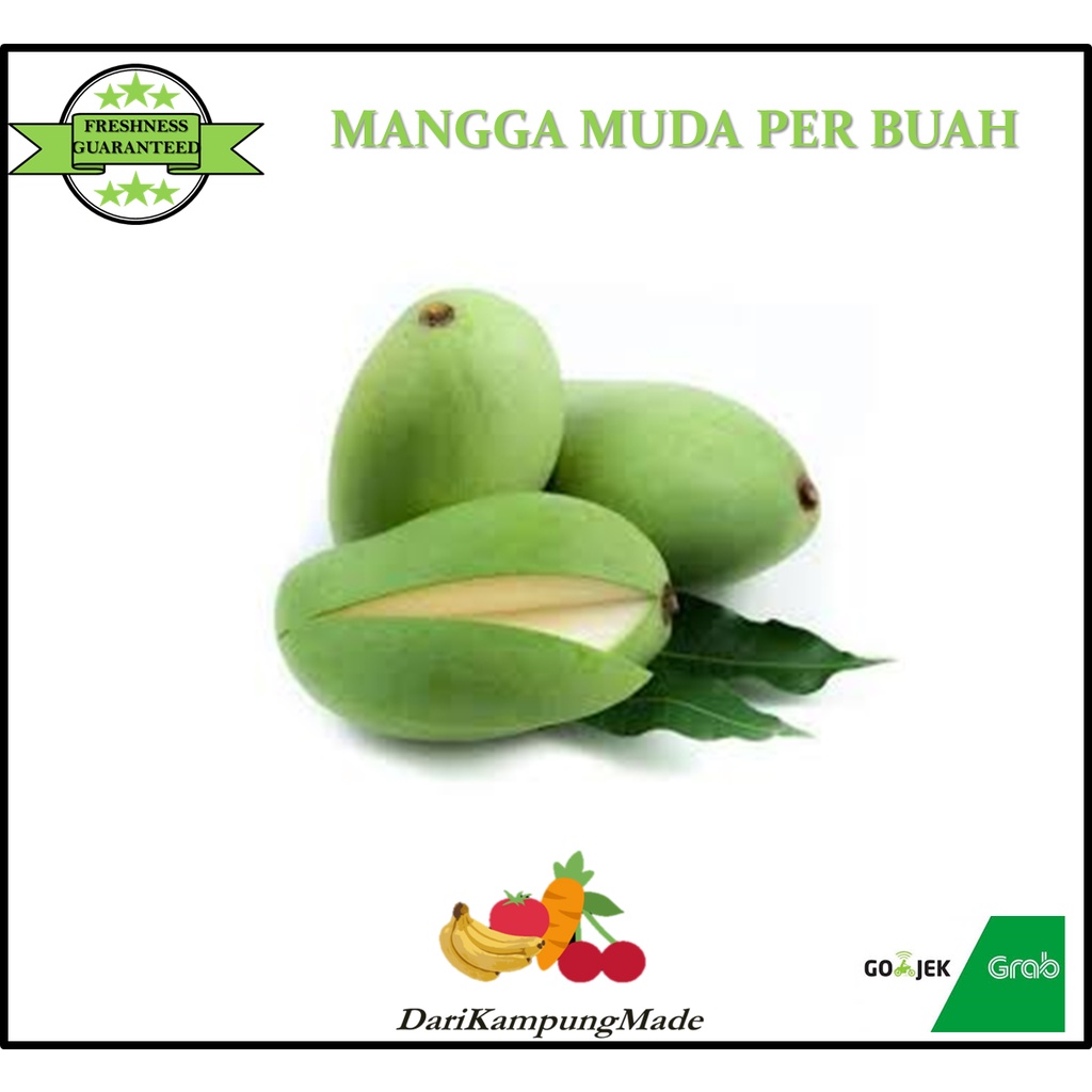 

MANGGA MUDA / PENCIT / PER BUAH