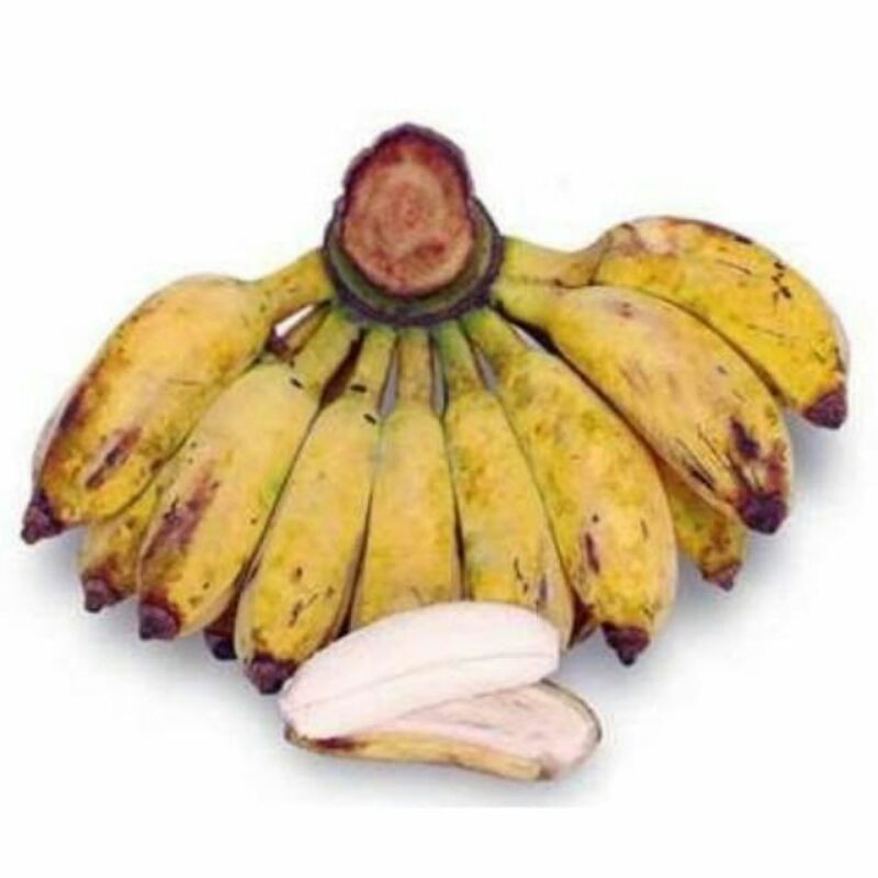 

PISANG KEPOK PER SISIR , PISANG SEGAR , PISANG BAGUS PILIHAN TERBAIK