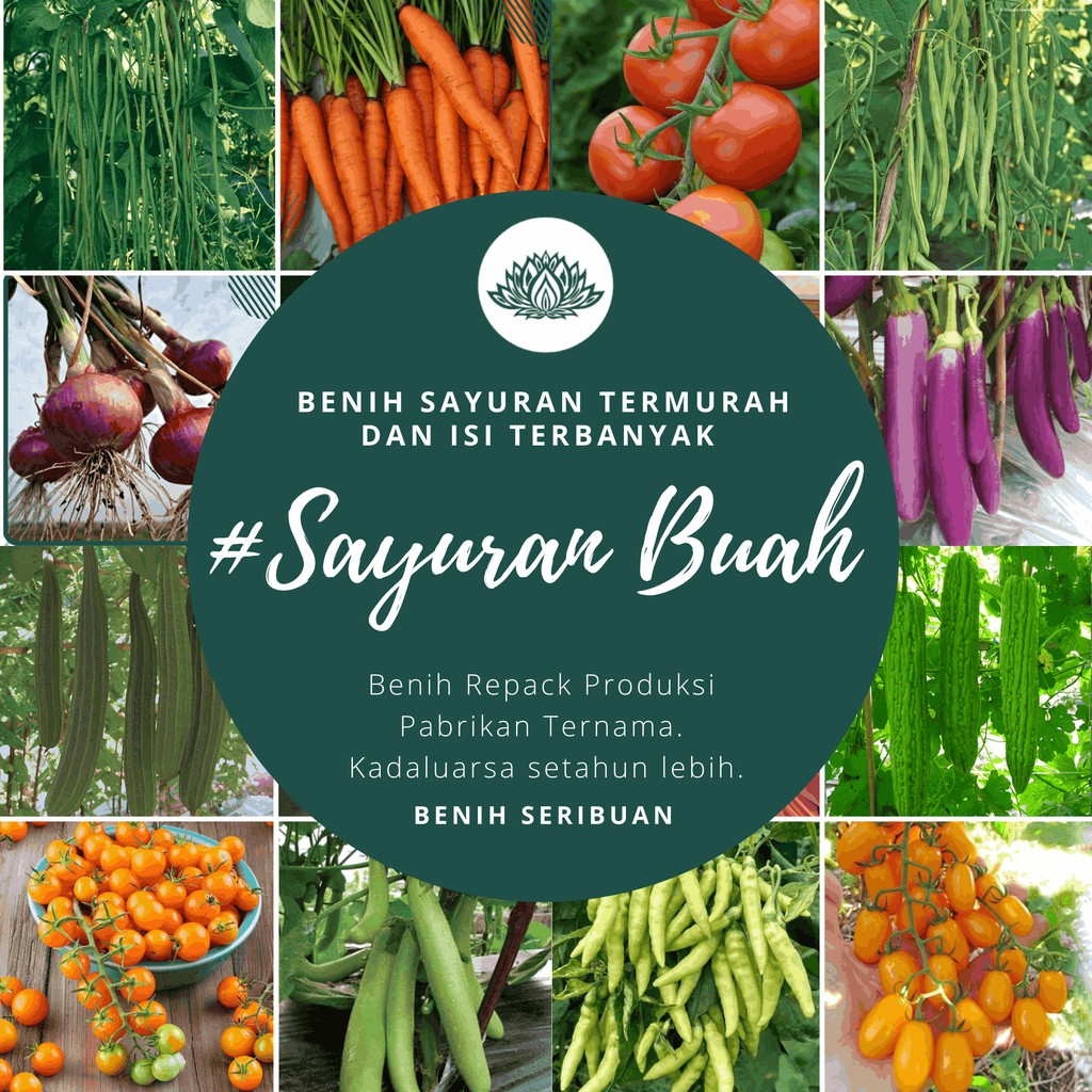 Termurah Bibit Sayuran Benih Sayur Buah Buncis Cabe Jagung Kacang Lobak Timun Terong Tomat Dll Shopee Indonesia